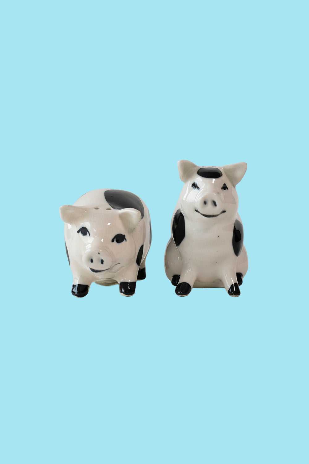 Pig salt and pepper shakers set