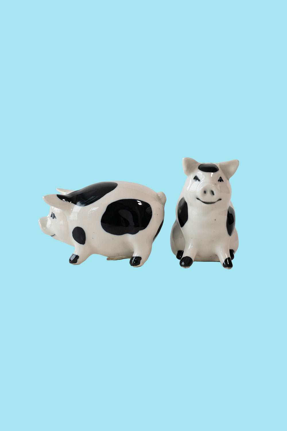 Pig salt and pepper shakers set