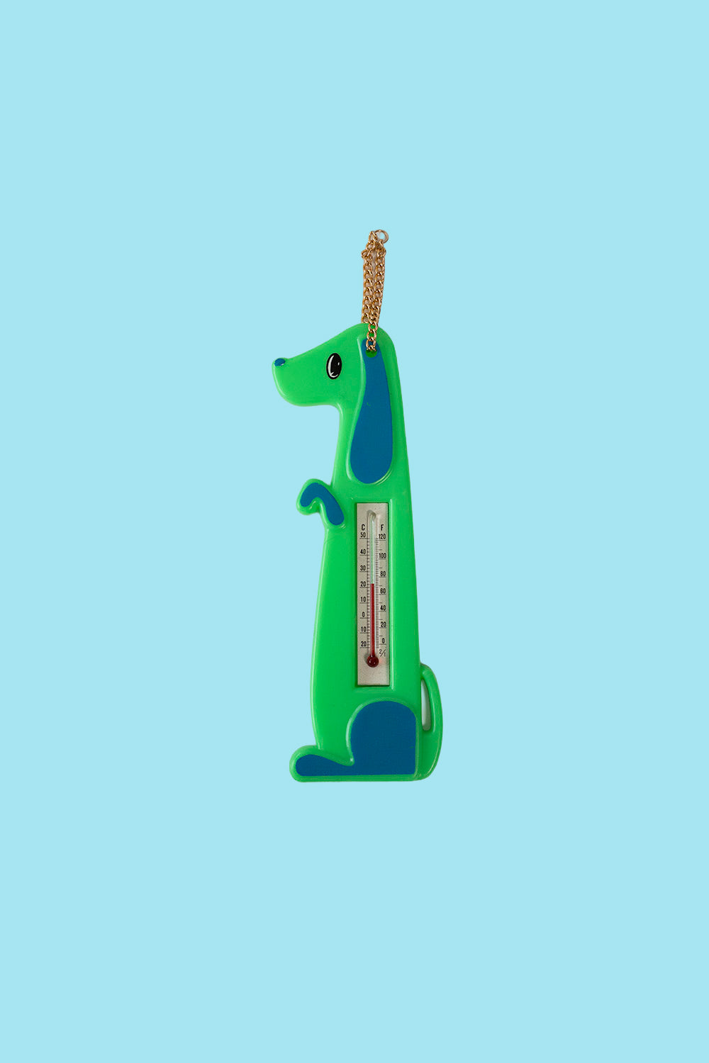 Dog thermometer