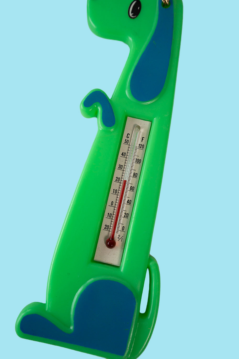 Dog thermometer