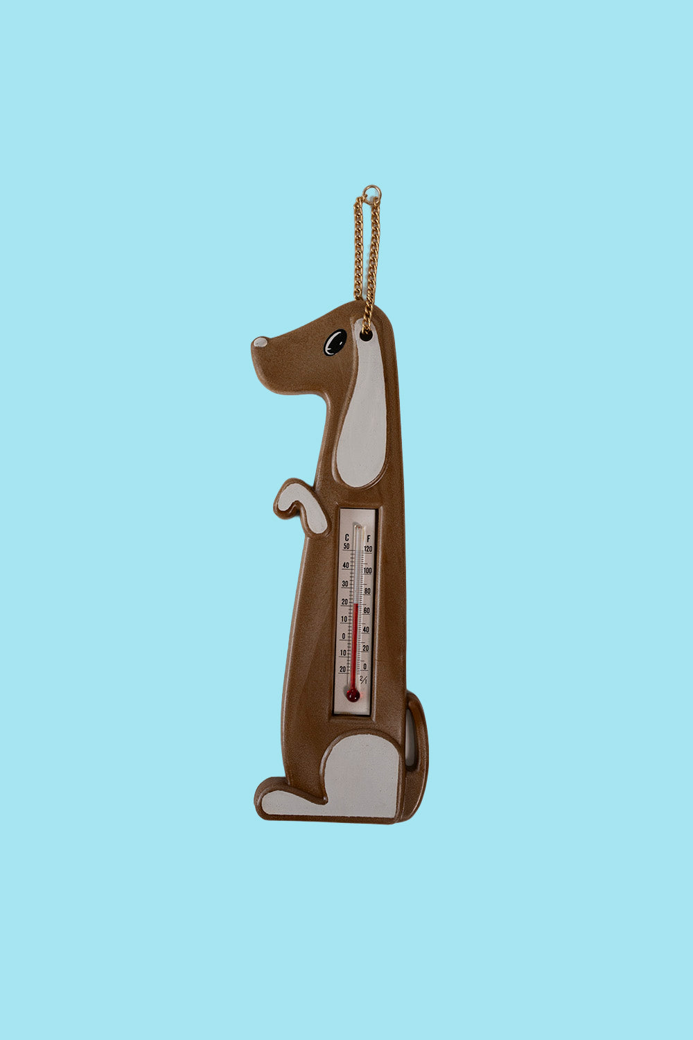 Dog thermometer