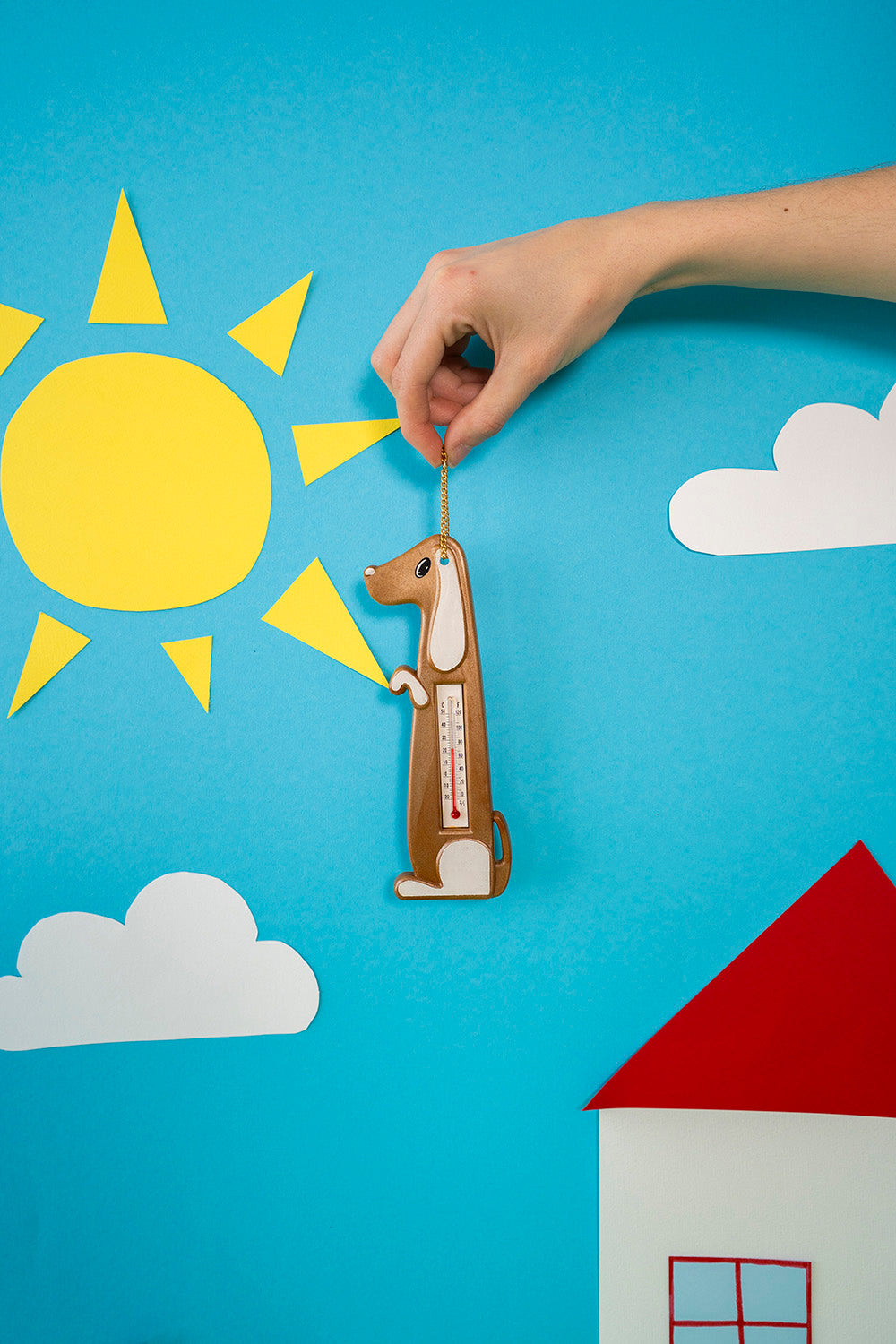 Dog thermometer