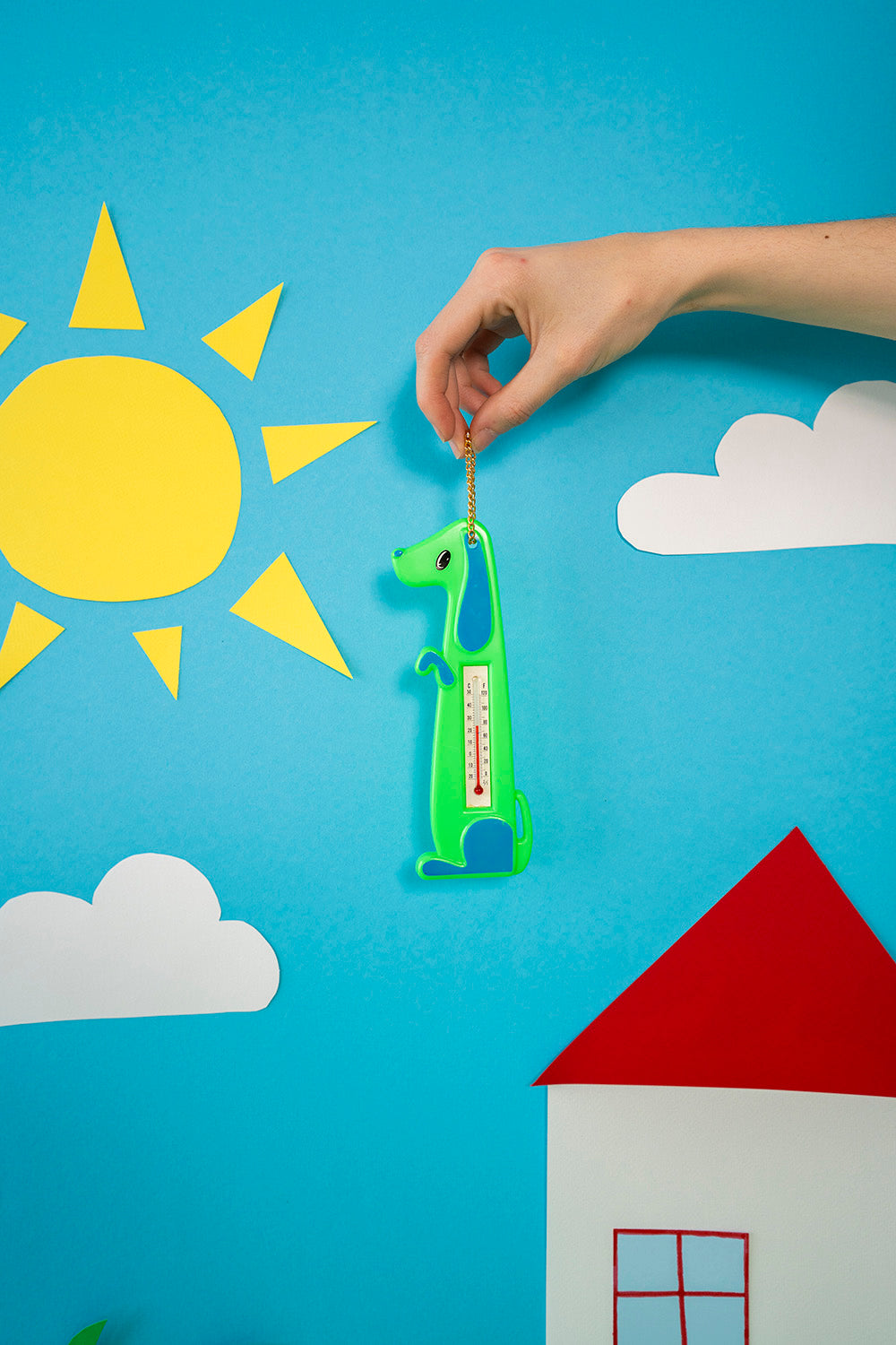 Dog thermometer